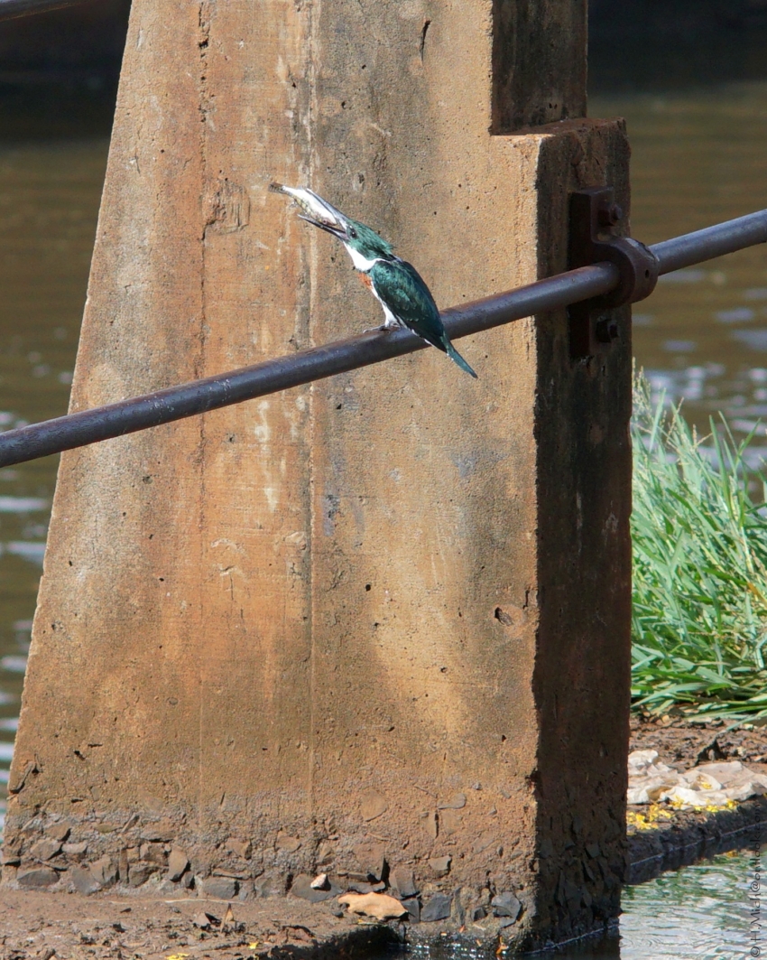 Studio-One.Art.br Repo Fotografia em Rio Preto SP/Brasil