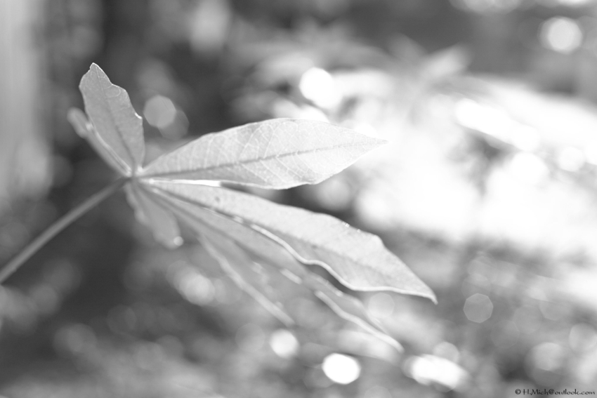 Studio-One.Art.br Repo Fotografia em Rio Preto SP/Brasil