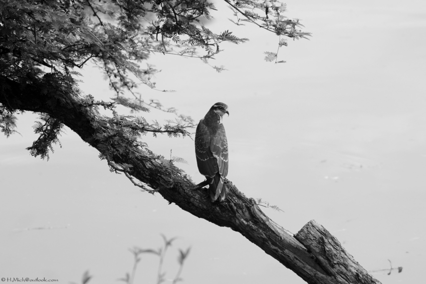 Studio-One.Art.br Repo Fotografia em Rio Preto SP/Brasil