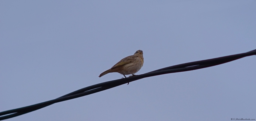 Studio-One.Art.br Repo Fotografia em Rio Preto SP/Brasil
