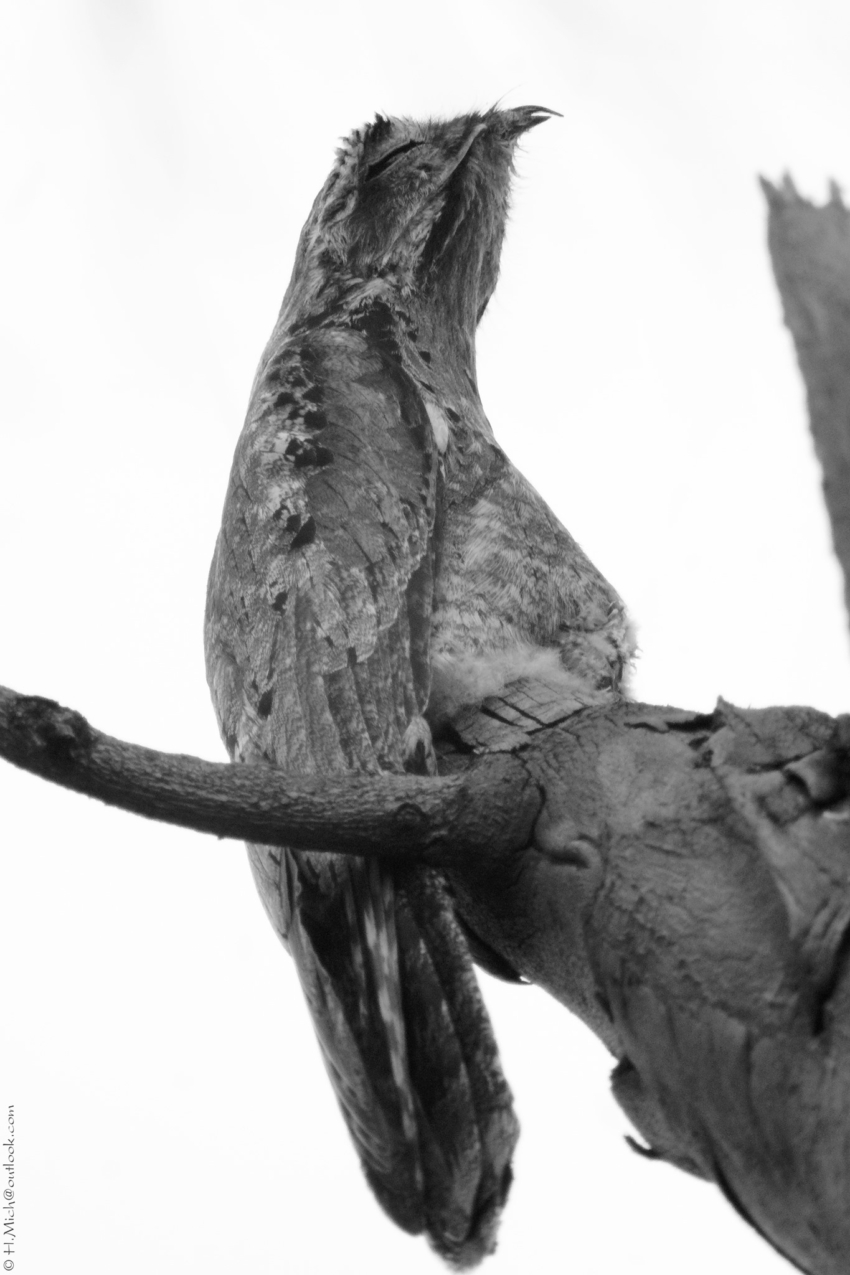 Studio-One.Art.br Repo Fotografia em Rio Preto SP/Brasil