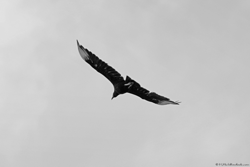 Studio-One.Art.br Repo Fotografia em Rio Preto SP/Brasil