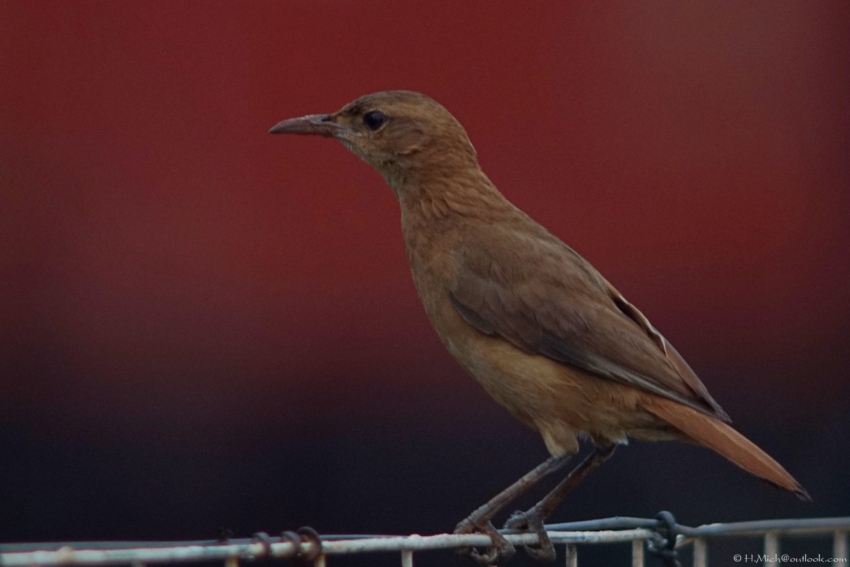 Studio-One.Art.br Repo Fotografia em Rio Preto SP/Brasil