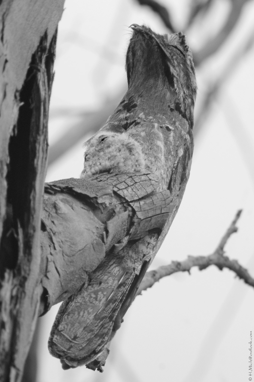 Studio-One.Art.br Repo Fotografia em Rio Preto SP/Brasil