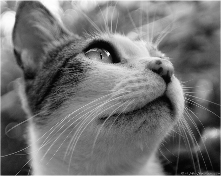 Studio-One.Art.br Repo Fotografia em Rio Preto SP/Brasil