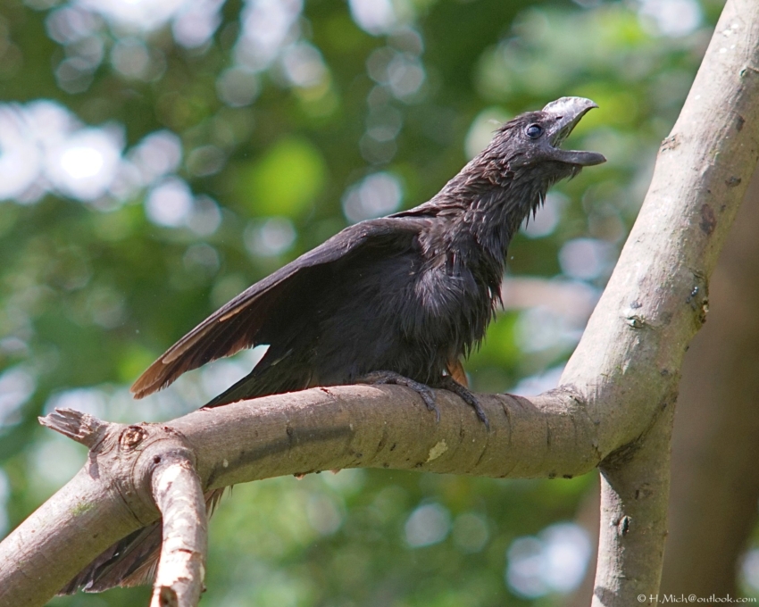 Studio-One.Art.br Repo Fotografia em Rio Preto SP/Brasil