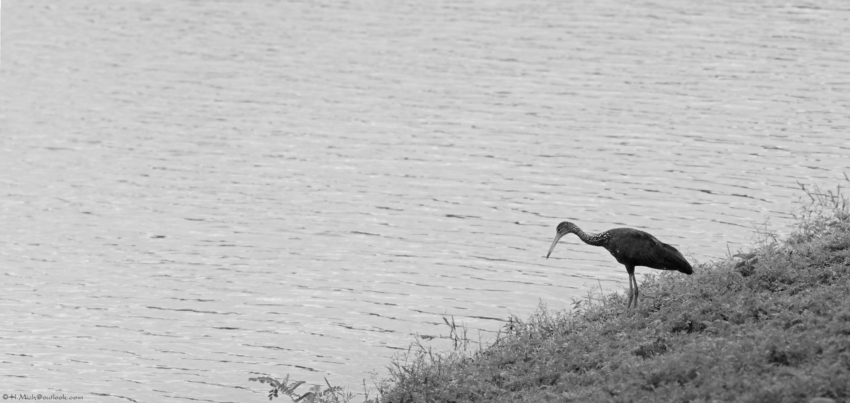 Studio-One.Art.br Repo Fotografia em Rio Preto SP/Brasil