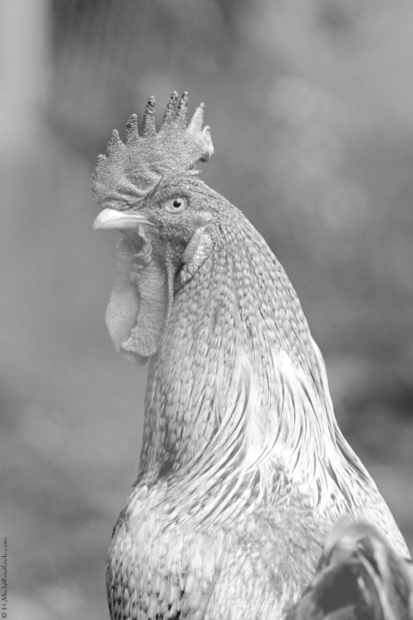 Studio-One.Art.br Repo Fotografia em Rio Preto SP/Brasil