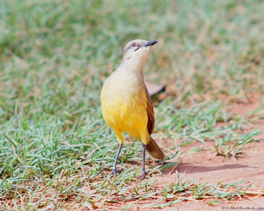 Studio-One.Art.br Repo Fotografia em Rio Preto SP/Brasil