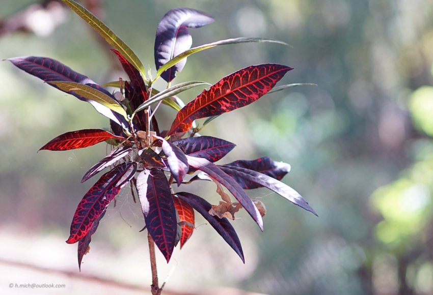 Studio-One.Art.br Repo Fotografia em Rio Preto SP/Brasil