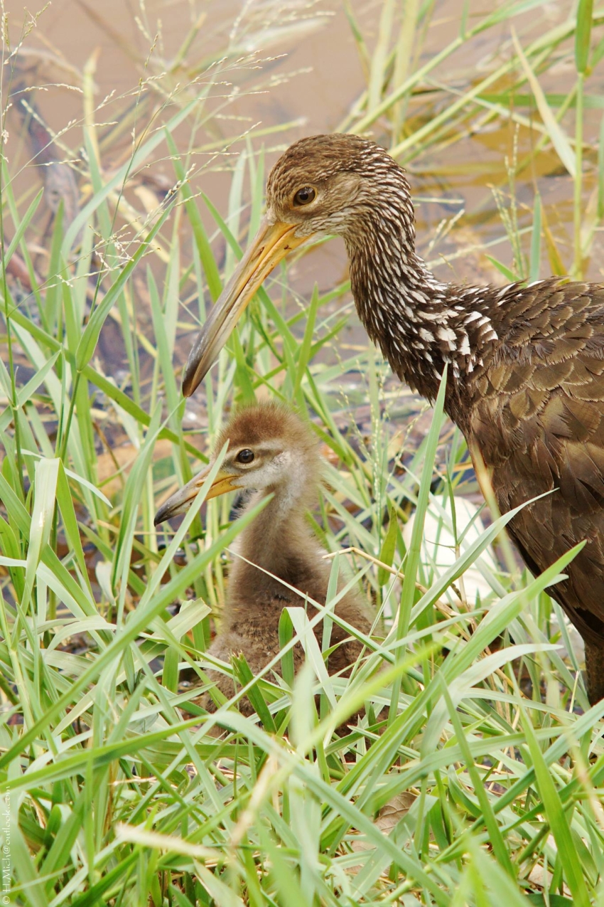 Studio-One.Art.br Repo Fotografia em Rio Preto SP/Brasil
