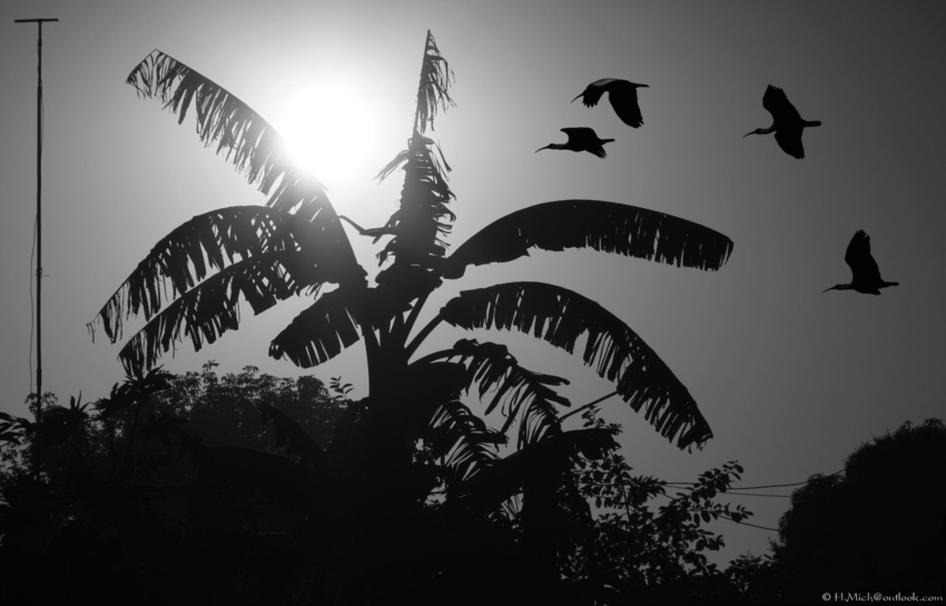 Studio-One.Art.br Repo Fotografia em Rio Preto SP/Brasil