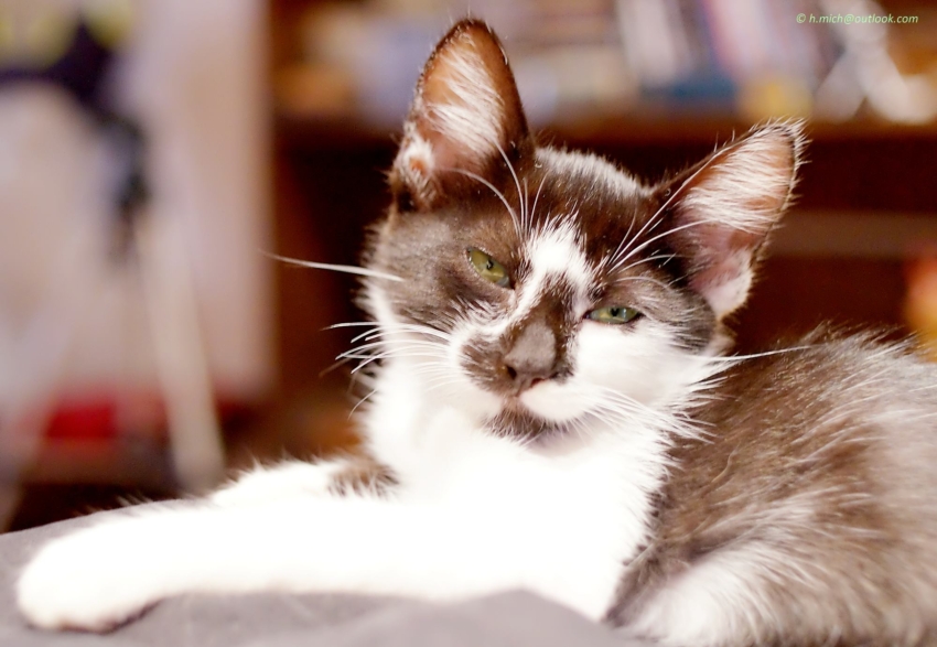 Studio-One.Art.br Repo Fotografia em Rio Preto SP/Brasil