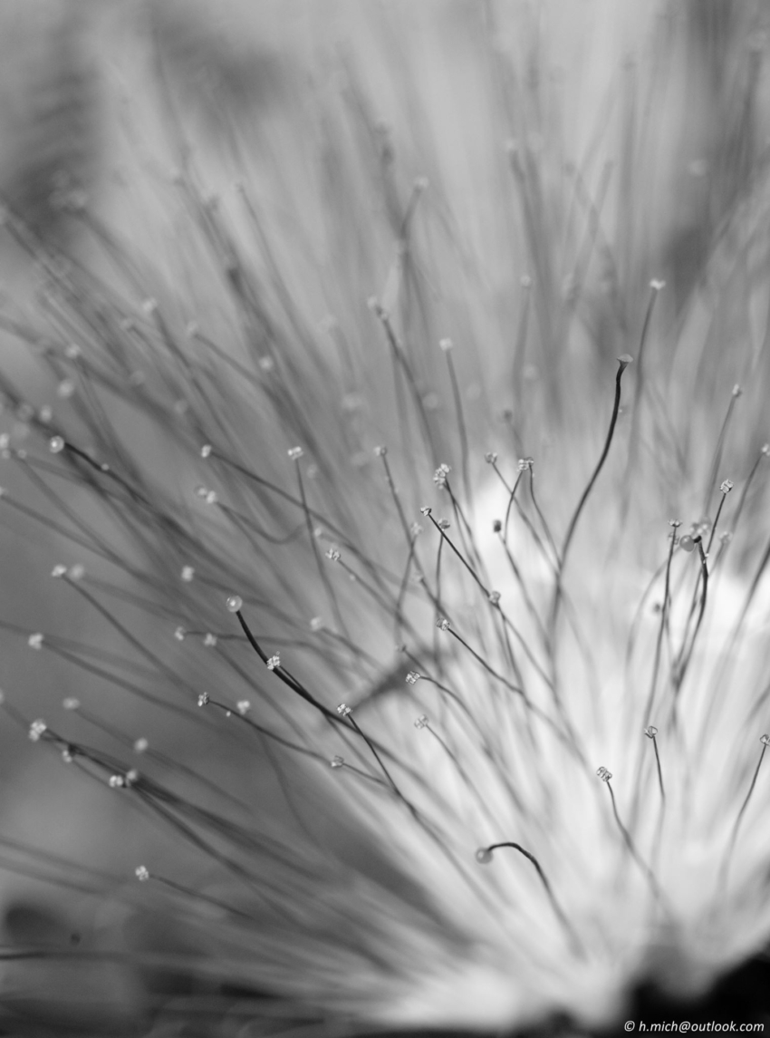 Studio-One.Art.br Repo Fotografia em Rio Preto SP/Brasil