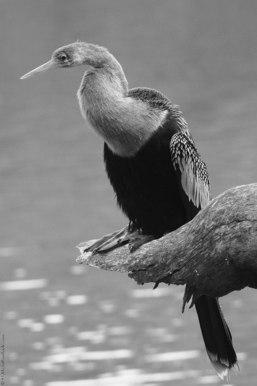 Studio-One.Art.br Repo Fotografia em Rio Preto SP/Brasil