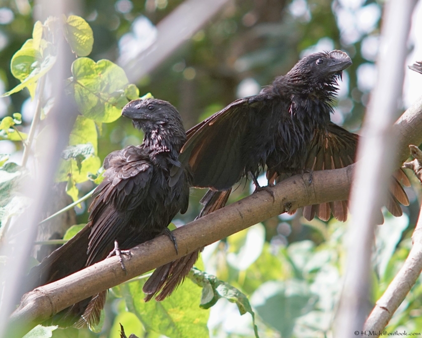 Studio-One.Art.br Repo Fotografia em Rio Preto SP/Brasil