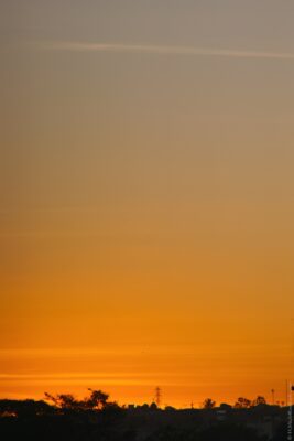 2022 06 15(291)