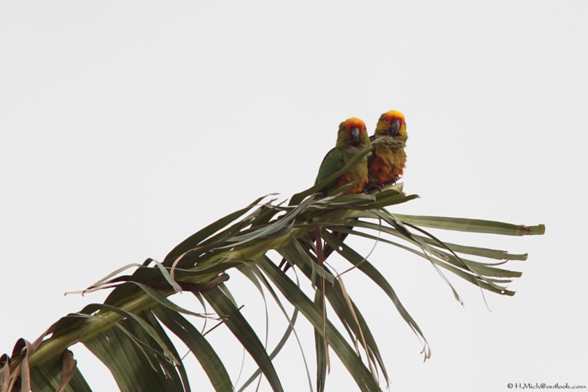 Studio-One.Art.br Repo Fotografia em Rio Preto SP/Brasil