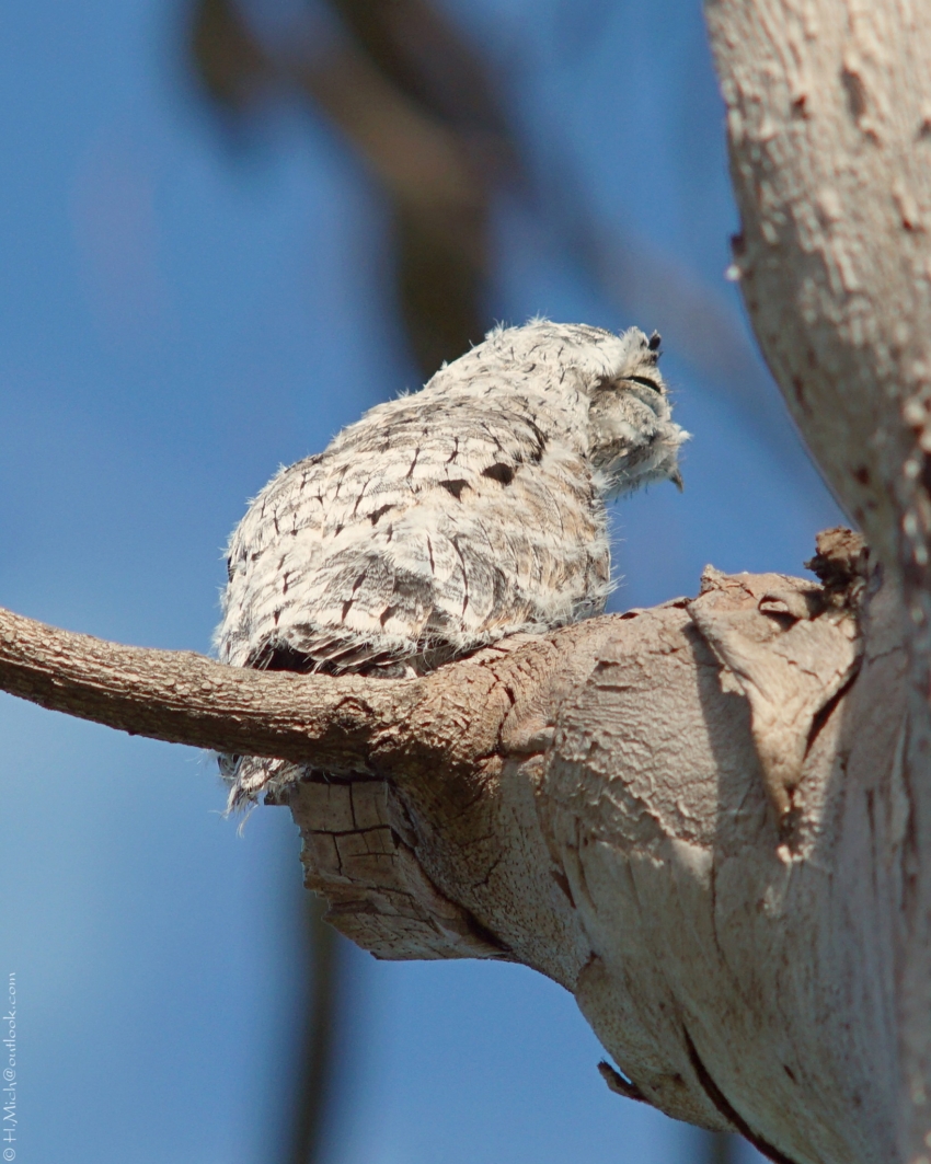 Studio-One.Art.br Repo Fotografia em Rio Preto SP/Brasil