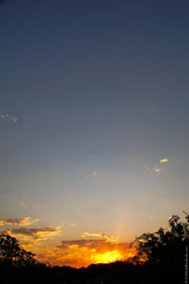 2022 06 15(298)