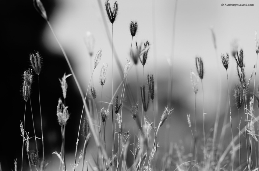 Studio-One.Art.br Repo Fotografia em Rio Preto SP/Brasil