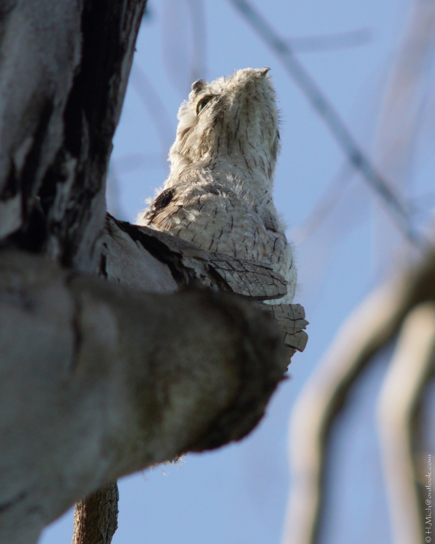 Studio-One.Art.br Repo Fotografia em Rio Preto SP/Brasil