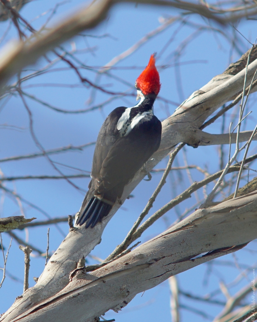 Studio-One.Art.br Repo Fotografia em Rio Preto SP/Brasil