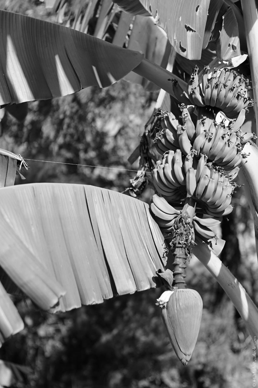 Studio-One.Art.br Repo Fotografia em Rio Preto SP/Brasil