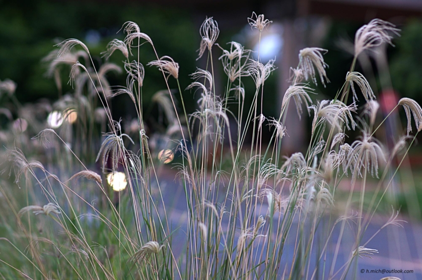 Studio-One.Art.br Repo Fotografia em Rio Preto SP/Brasil