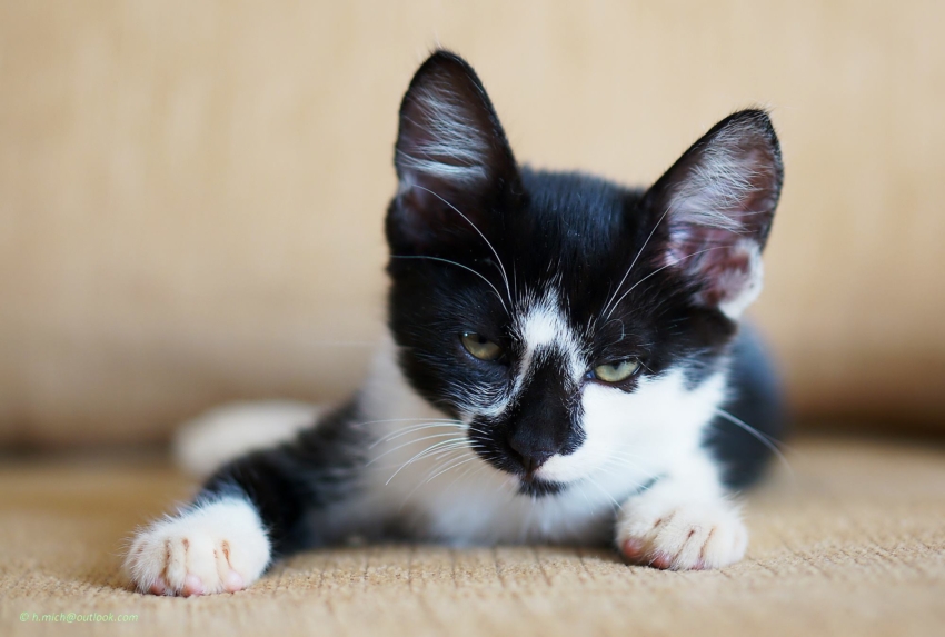 Studio-One.Art.br Repo Fotografia em Rio Preto SP/Brasil