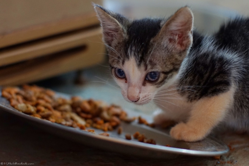 Studio-One.Art.br Repo Fotografia em Rio Preto SP/Brasil