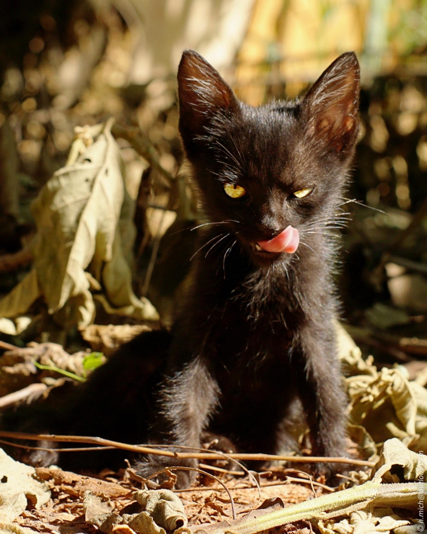 Studio-One.Art.br Repo Fotografia em Rio Preto SP/Brasil