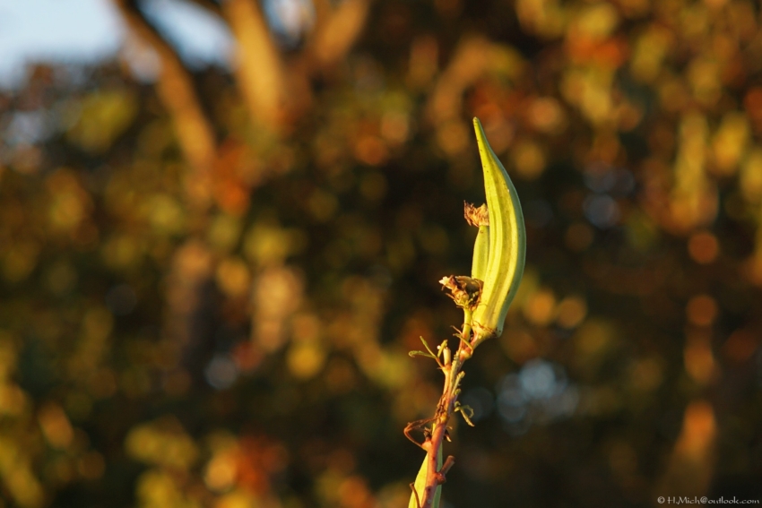 Studio-One.Art.br Repo Fotografia em Rio Preto SP/Brasil
