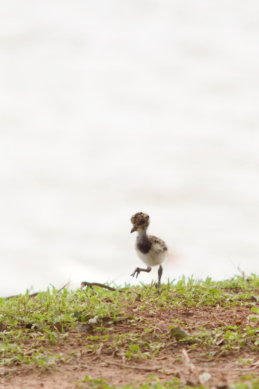 Studio-One.Art.br Repo Fotografia em Rio Preto SP/Brasil