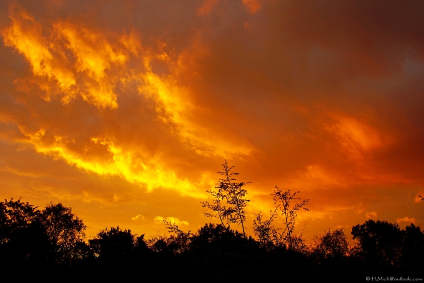 Studio-One.Art.br Repo Fotografia em Rio Preto SP/Brasil