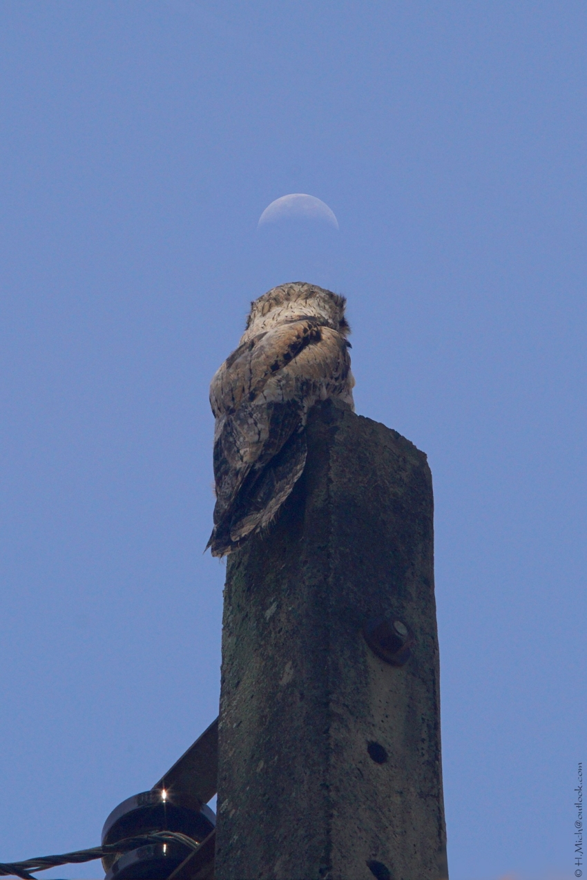 Studio-One.Art.br Repo Fotografia em Rio Preto SP/Brasil
