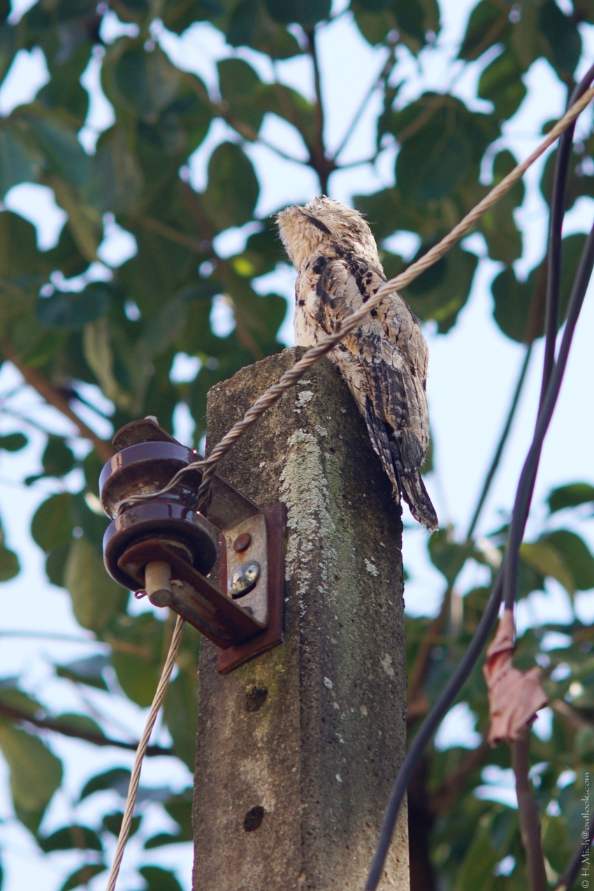 Studio-One.Art.br Repo Fotografia em Rio Preto SP/Brasil