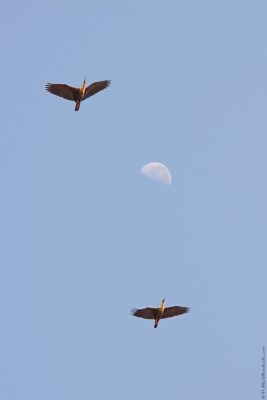 2022 06 15(302)