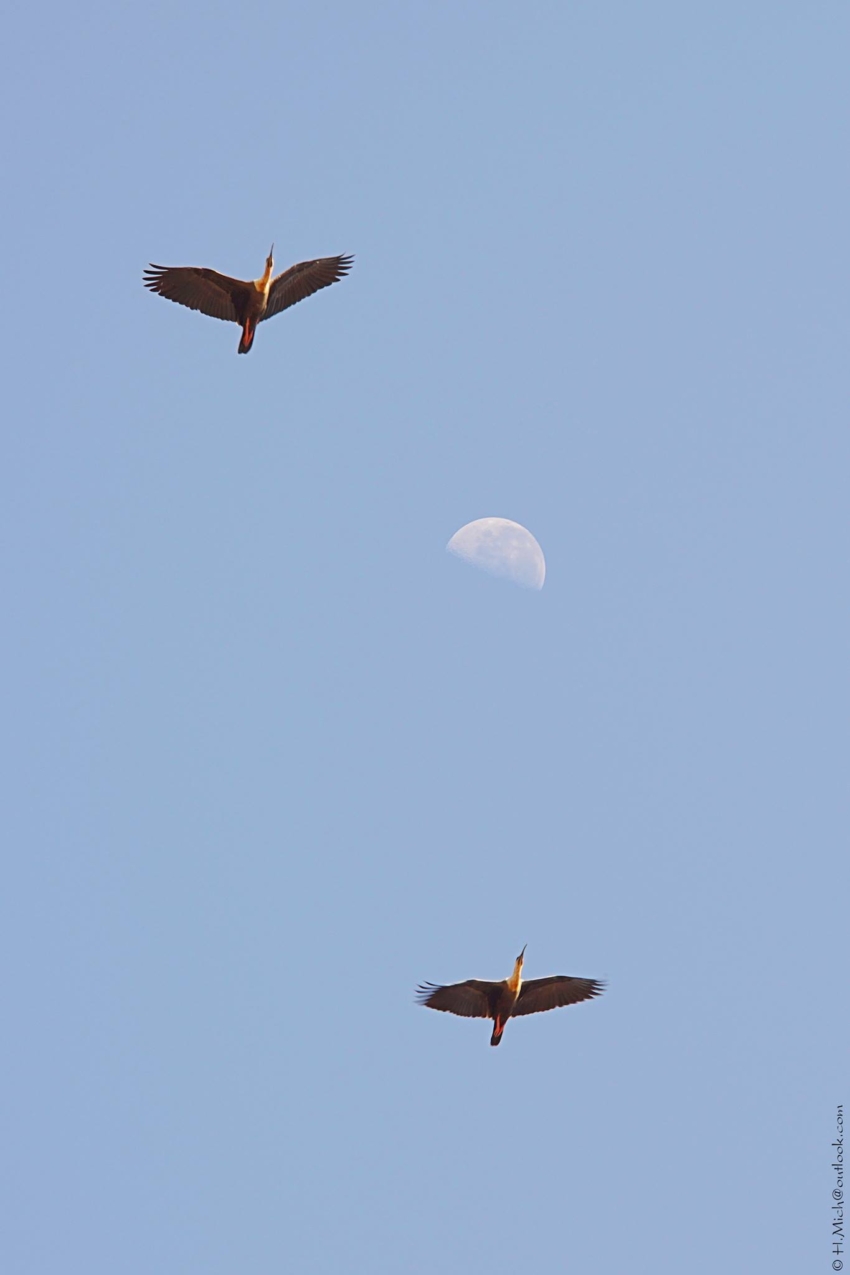 Studio-One.Art.br Repo Fotografia em Rio Preto SP/Brasil