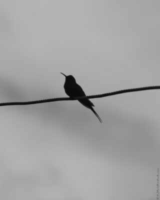 2022 06 15(303)