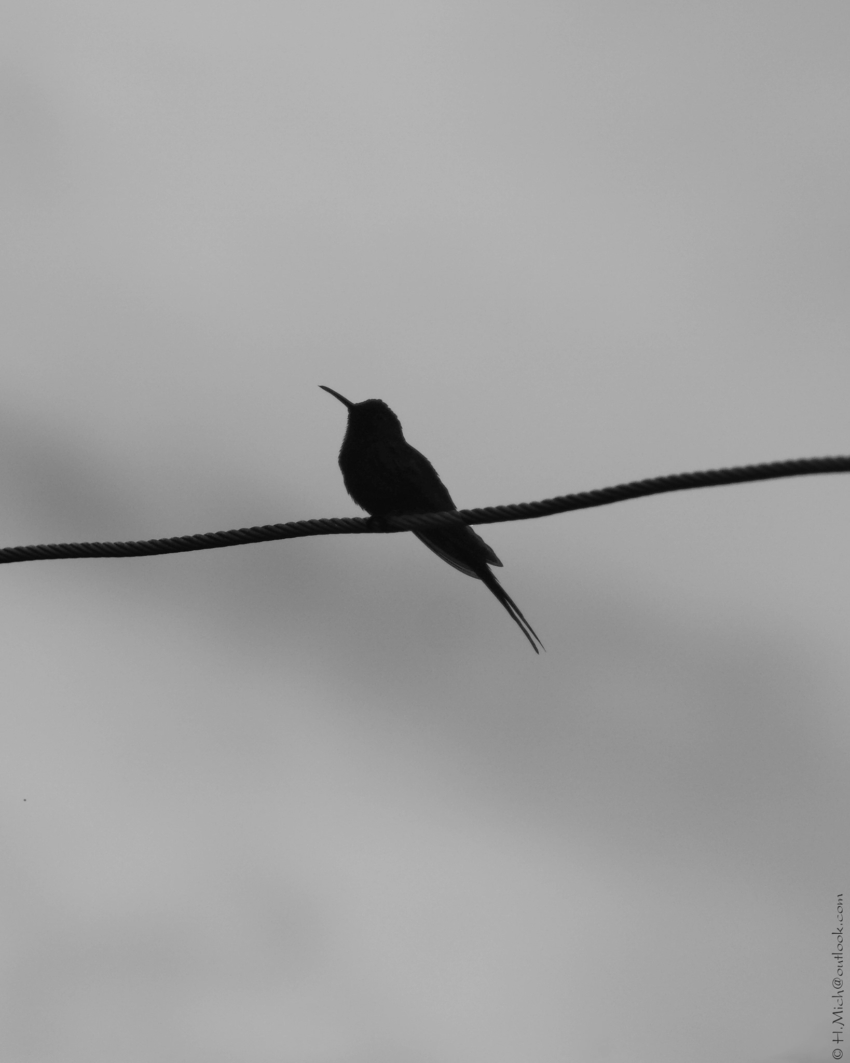 Studio-One.Art.br Repo Fotografia em Rio Preto SP/Brasil