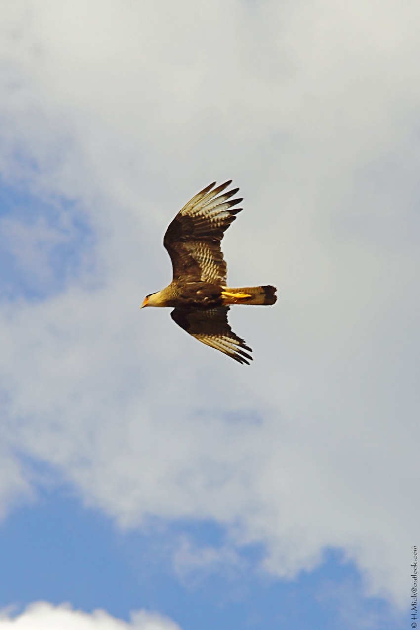 Studio-One.Art.br Repo Fotografia em Rio Preto SP/Brasil