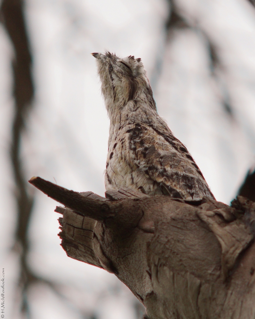 Studio-One.Art.br Repo Fotografia em Rio Preto SP/Brasil