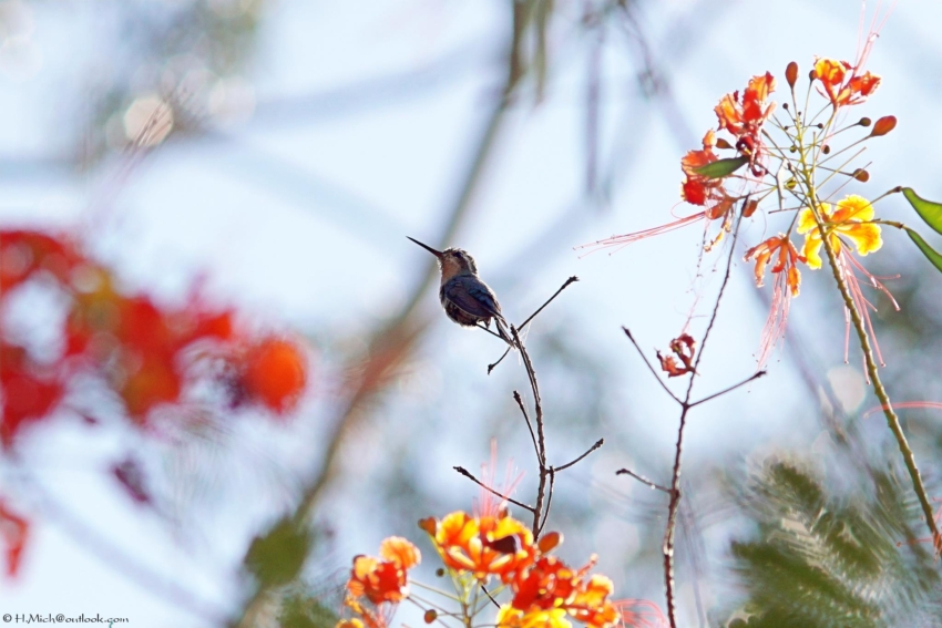 Studio-One.Art.br Repo Fotografia em Rio Preto SP/Brasil