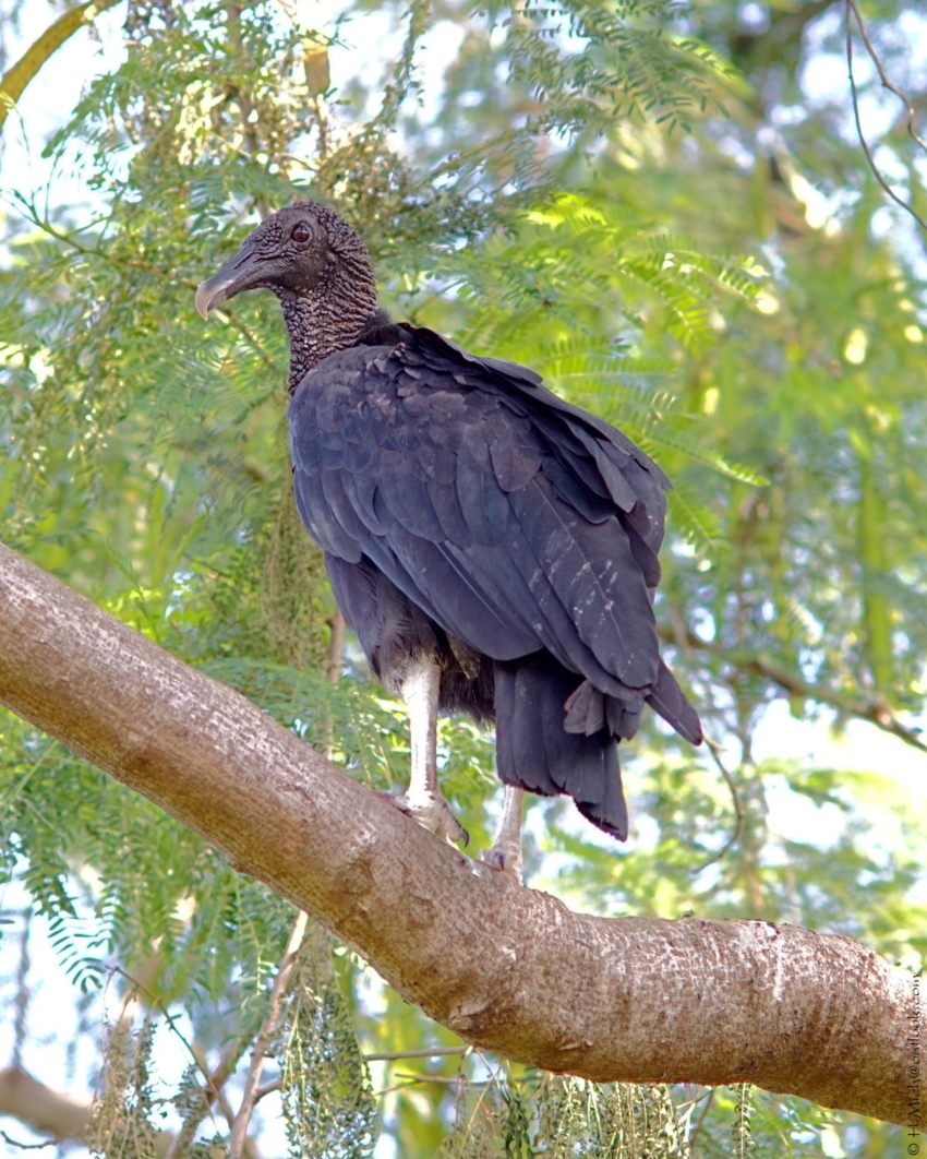 Studio-One.Art.br Repo Fotografia em Rio Preto SP/Brasil