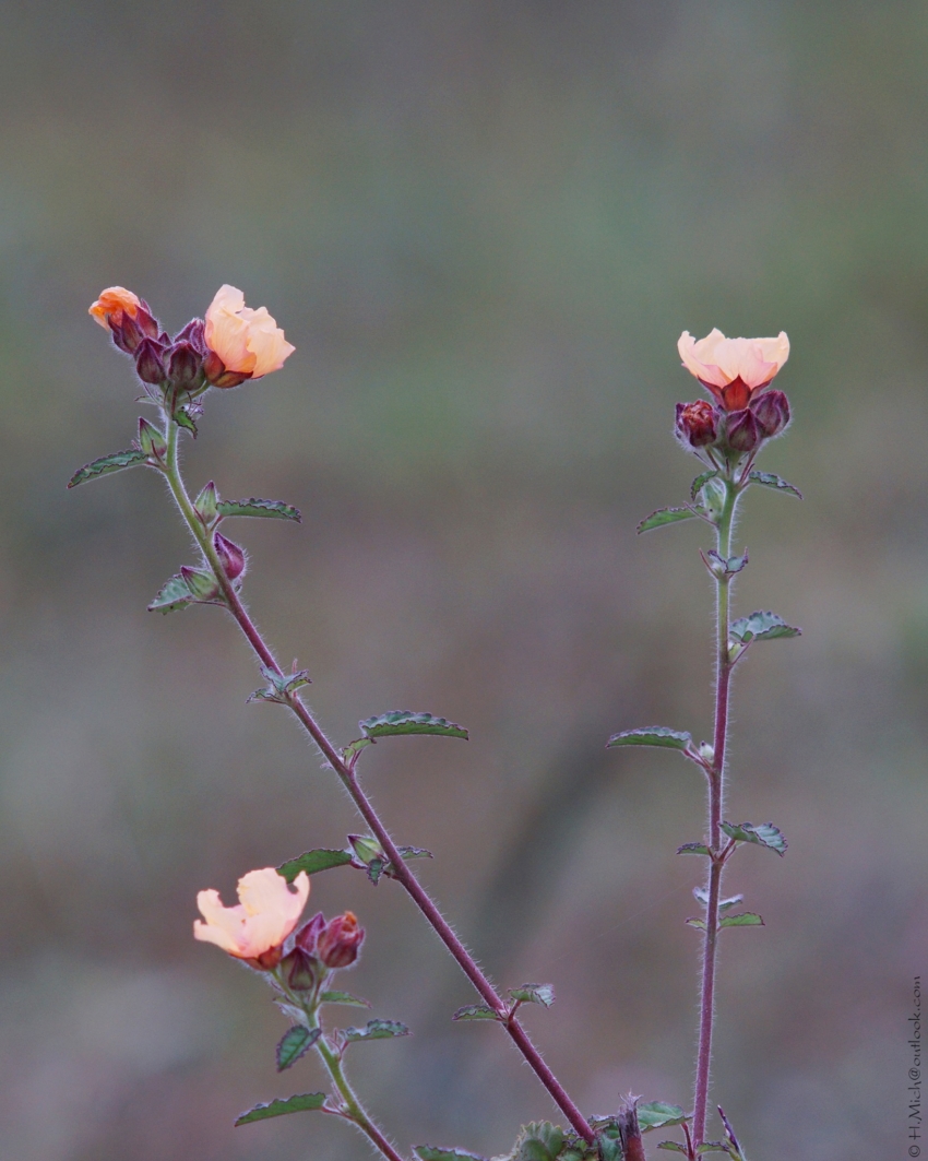 Studio-One.Art.br Repo Fotografia em Rio Preto SP/Brasil