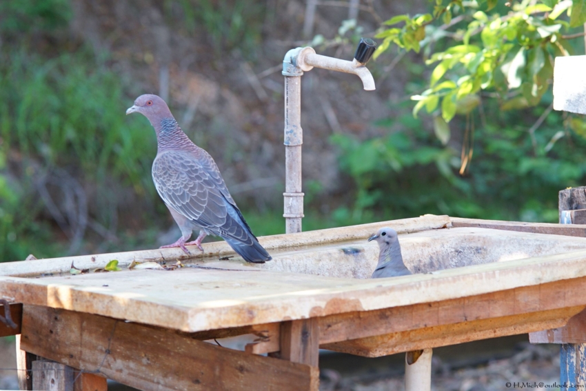 Studio-One.Art.br Repo Fotografia em Rio Preto SP/Brasil