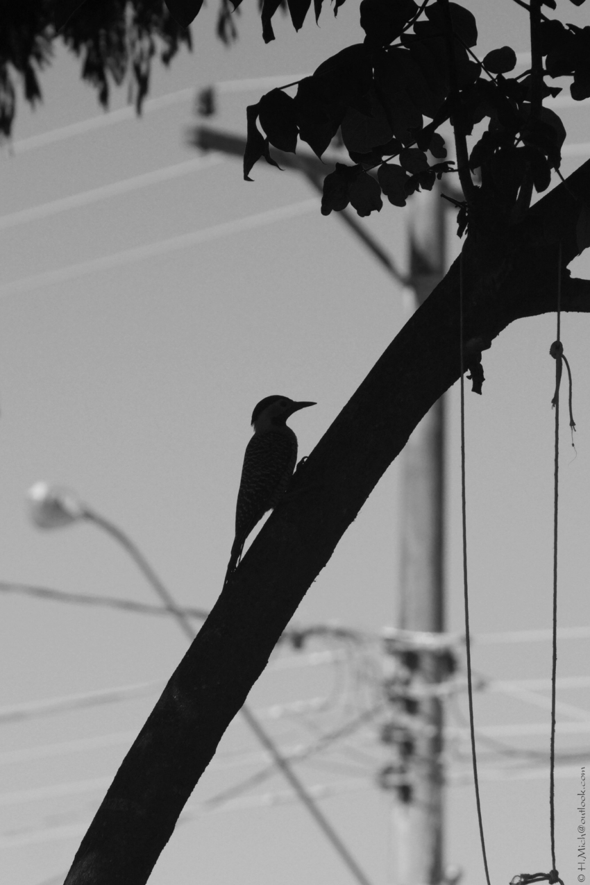 Studio-One.Art.br Repo Fotografia em Rio Preto SP/Brasil