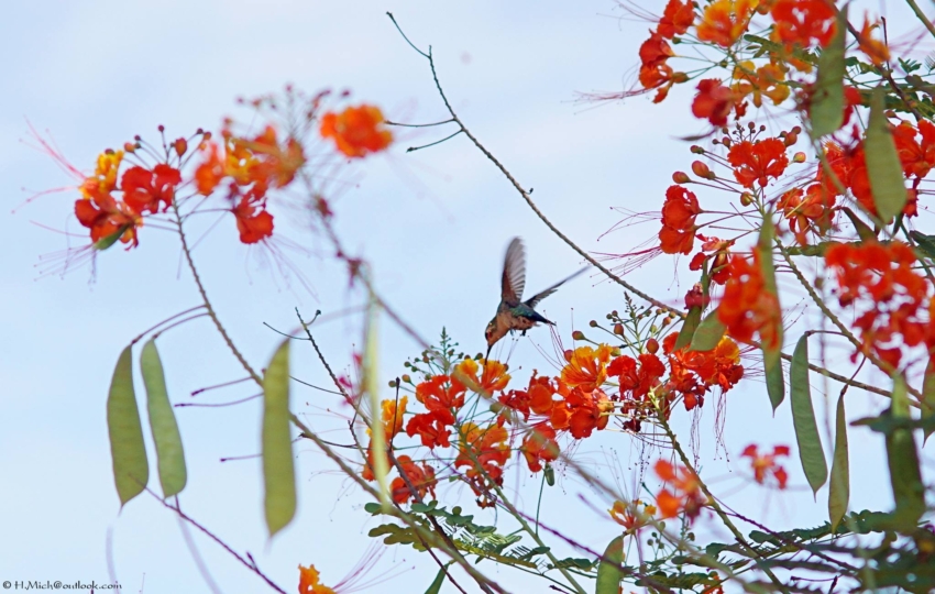 Studio-One.Art.br Repo Fotografia em Rio Preto SP/Brasil