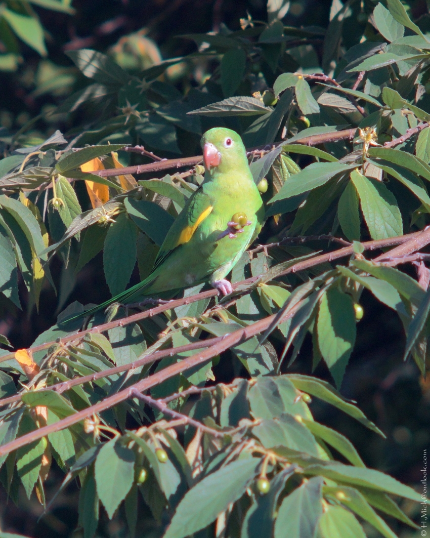 Studio-One.Art.br Repo Fotografia em Rio Preto SP/Brasil